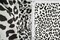 1 Yard Charcoal DTY Brushed Animal Print Stretch Knit Fabric 58/60" Width